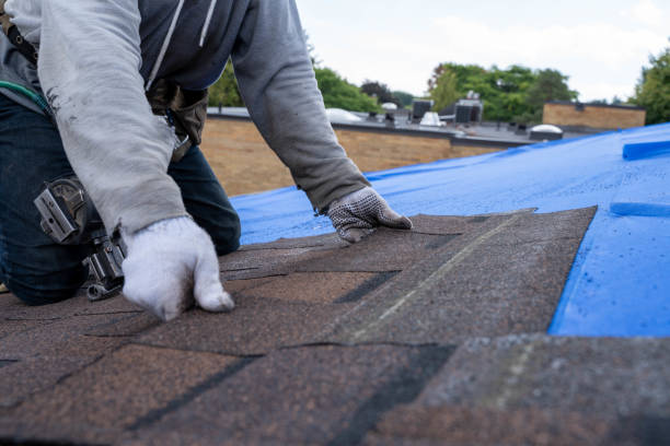 Best Local Roofing Companies  in Coshocton, OH